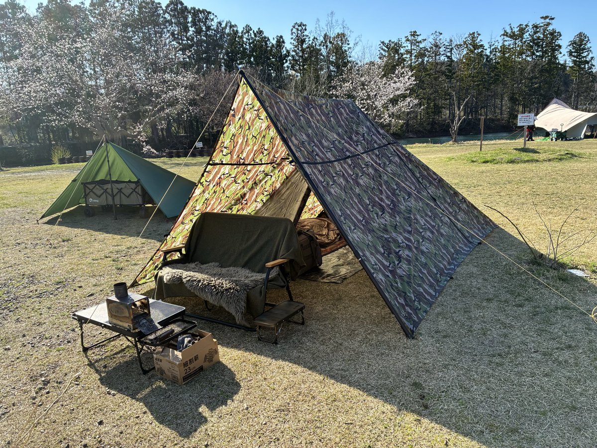 タープクレイヂーカンナバ tweet media