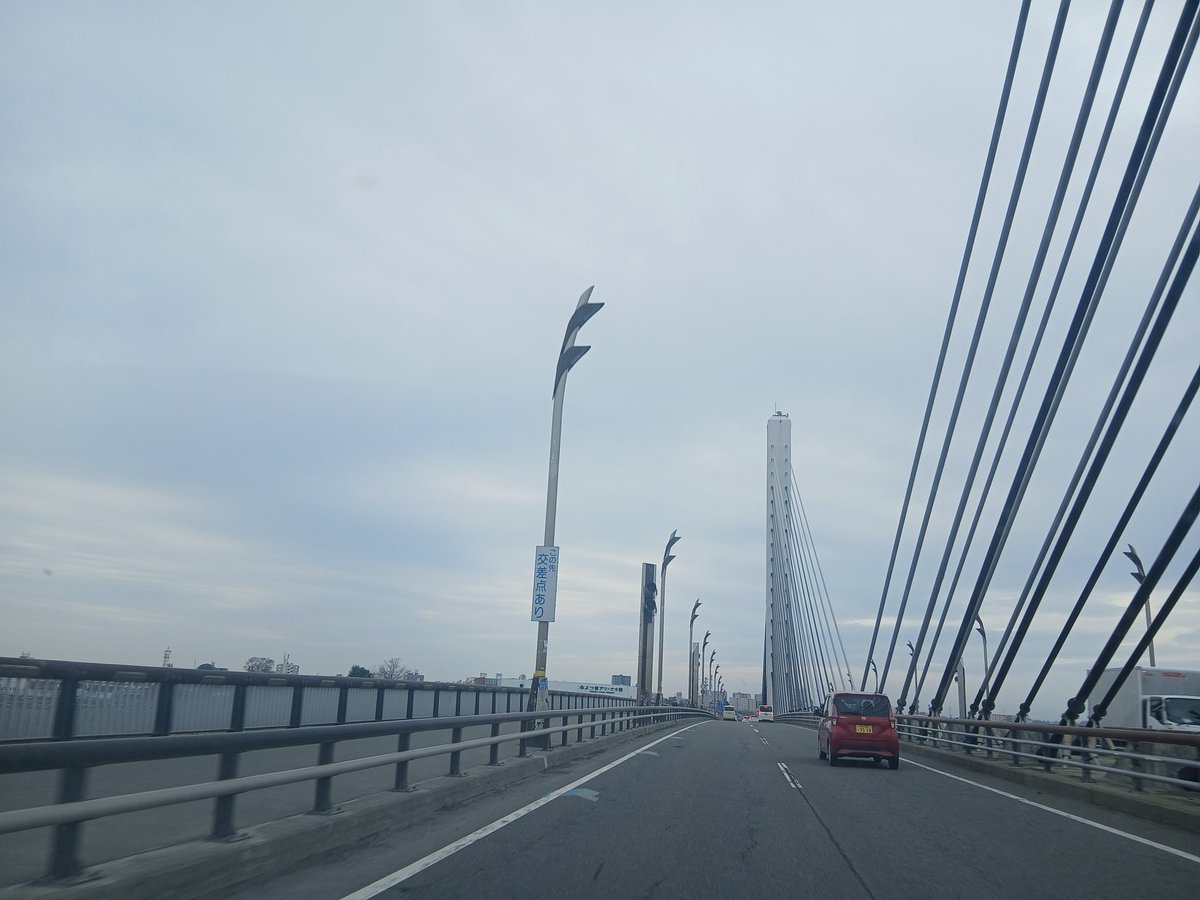 くまヌコAndy@tokachi streamer🐻🐱🎤✨ tweet media