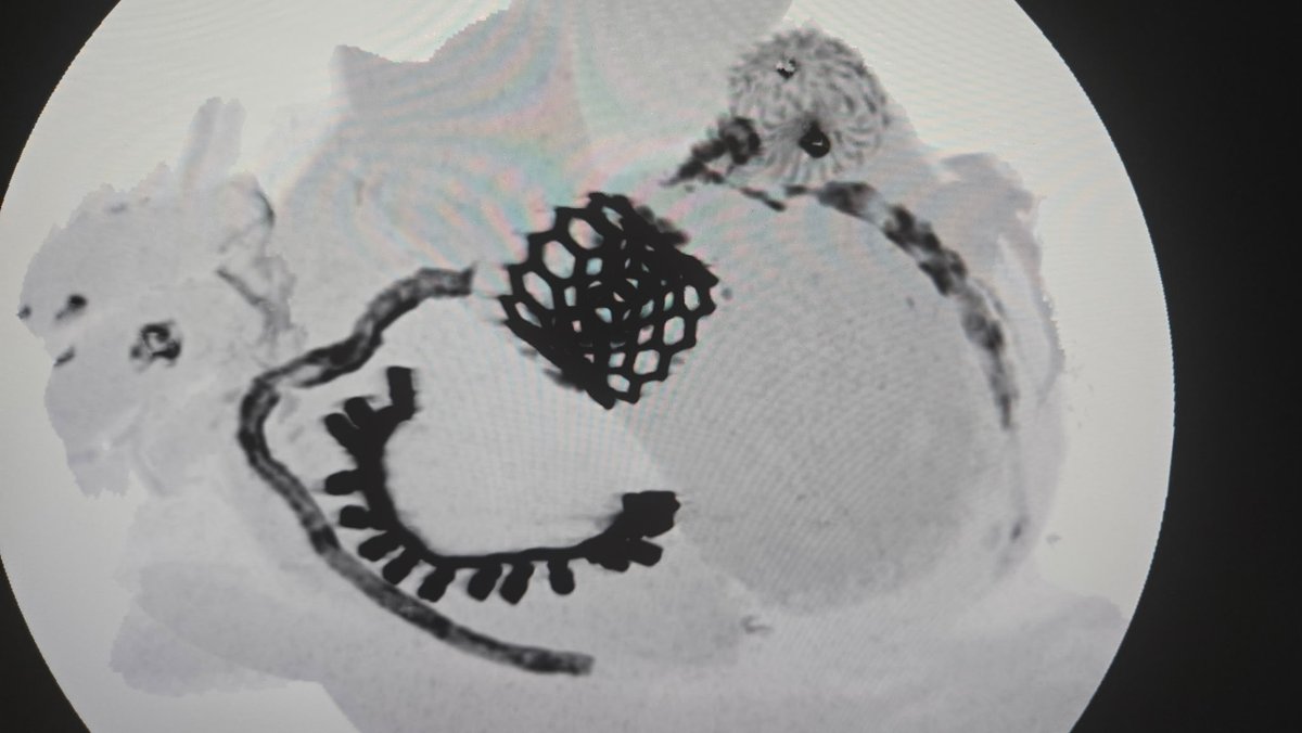 Abdalla Eltayeb tweet media