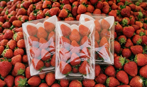 【公式】瑞苺農園🍓 tweet media