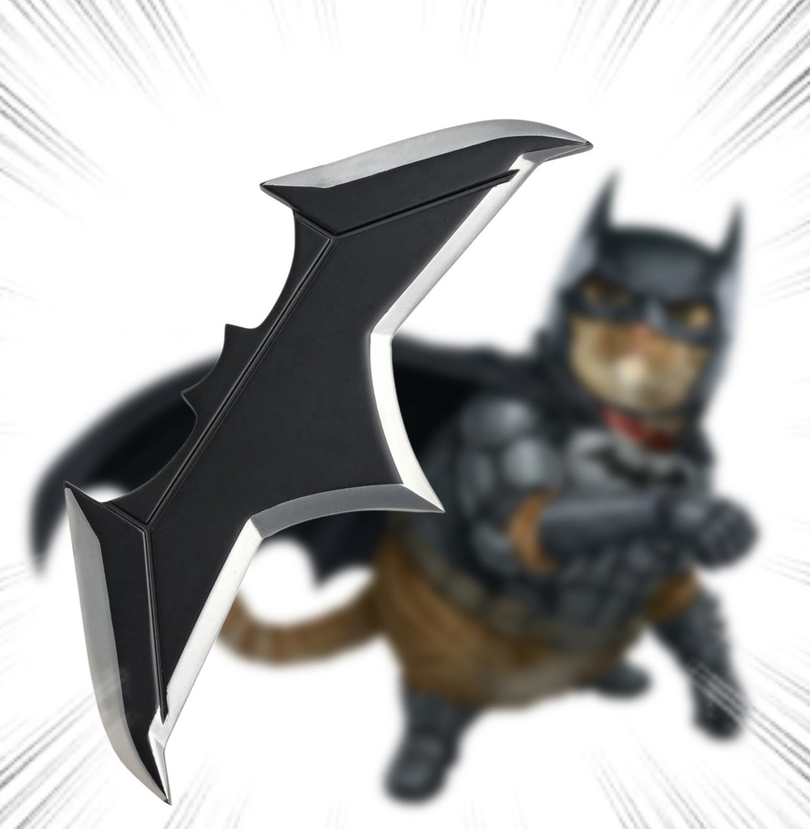 Throwing Things Daily tweet media