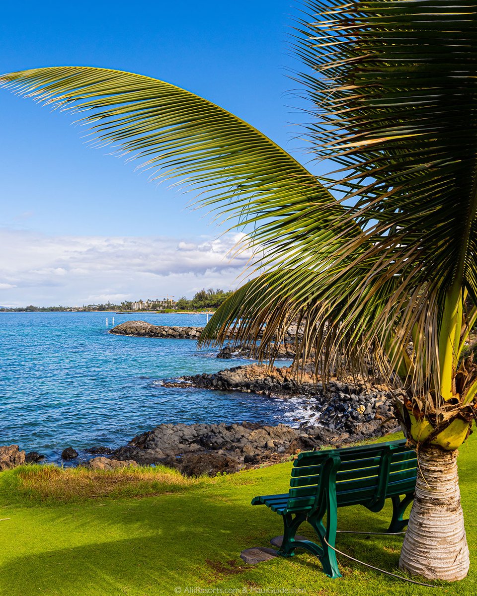 Maui's tweet image. Some favorite photos of #Maui via @aliiresorts
