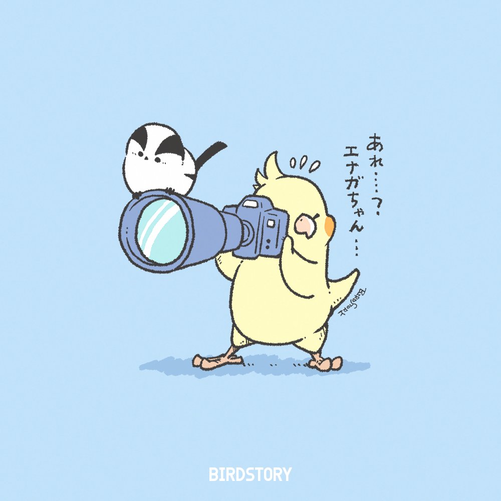 BIRDSTORY tweet media