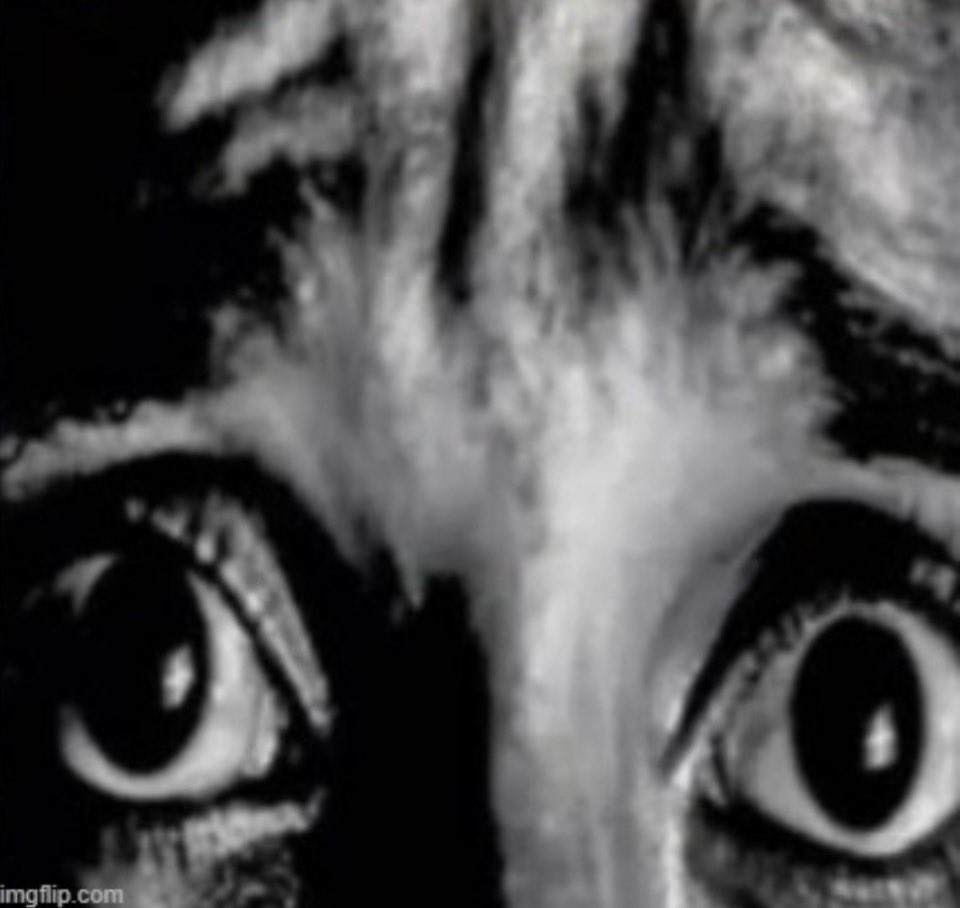 This_Dud_EarleAlfred | #FreeSchlep tweet media