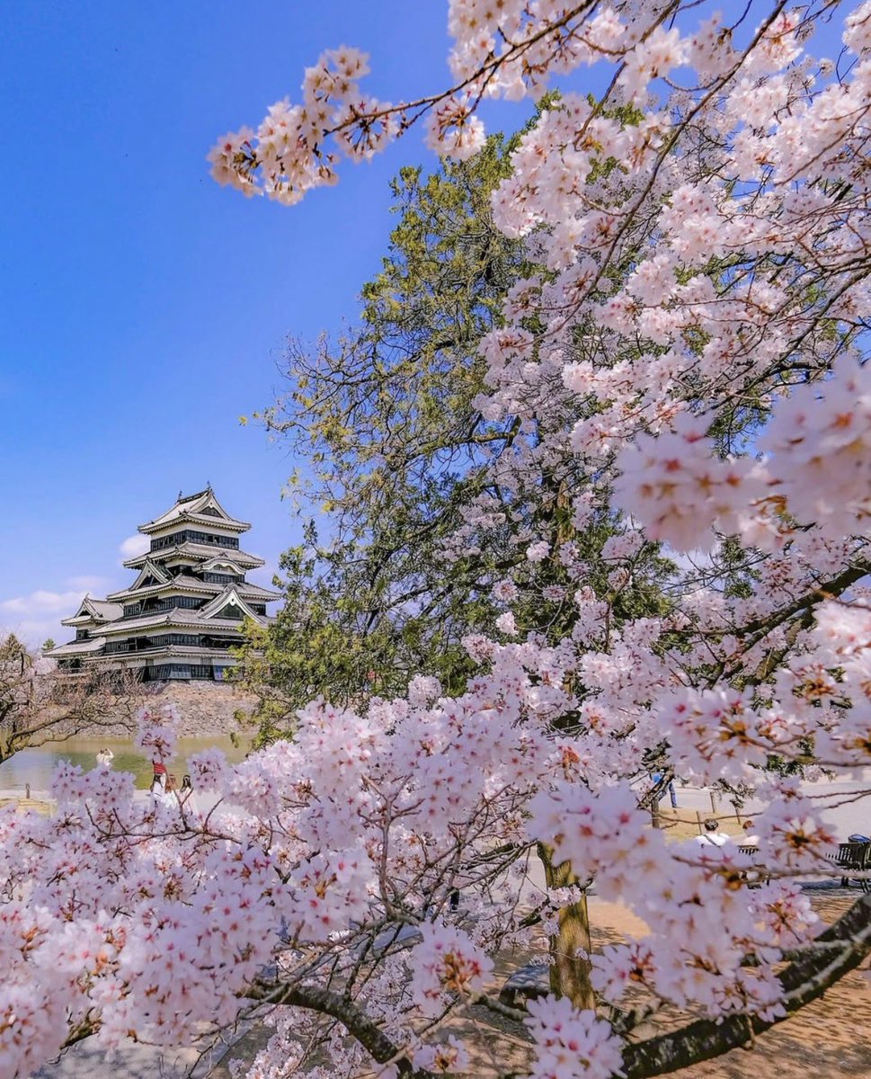 新生活の準備で現金に困ったら🌸

今すぐ現金が必要な時💵✨

審査は簡単30万円現金が作れます
最短20分 家族 職場にバレずに現金が
用意出来ます

お問い合わせはこちら👇👇👇
Twitterを見たとお知らせください
0120-747-232

genkinkahyper.work/sp/

#生活費　#現金化ハイパー