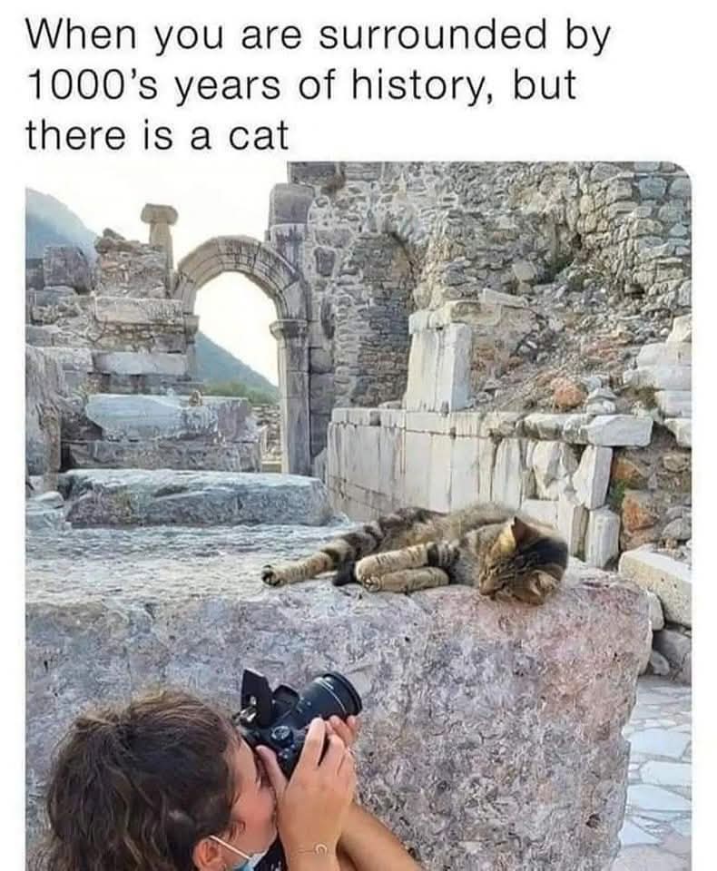 SillElliS tweet media