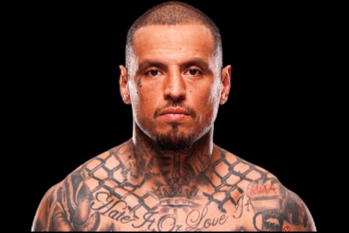 The Fight Fanatic tweet media