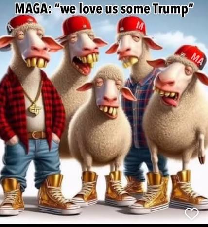 TrumpIsEvil tweet media