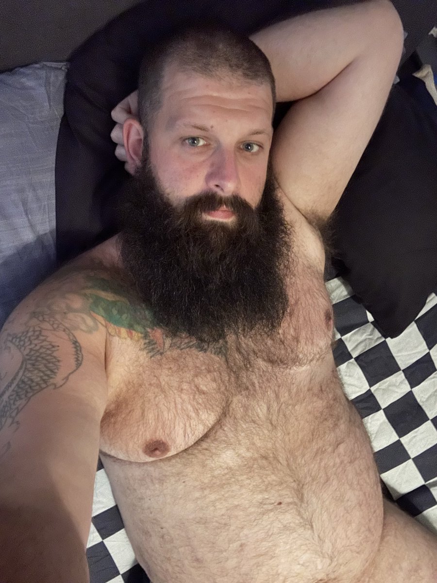 bearcules 🔜 GBBB manchester tweet media