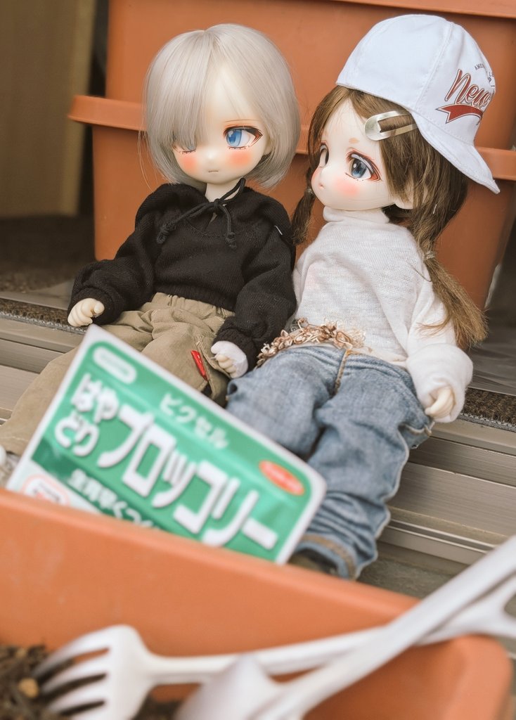 🐧「ブロッコリーは好き？」
🦭「ほどほどでございます」
　#ウチのコ園芸
　#うちのこかわいい
　種からやりたがる初心者🥦😌✨️
tinyfox Nomi＆Debby 💓