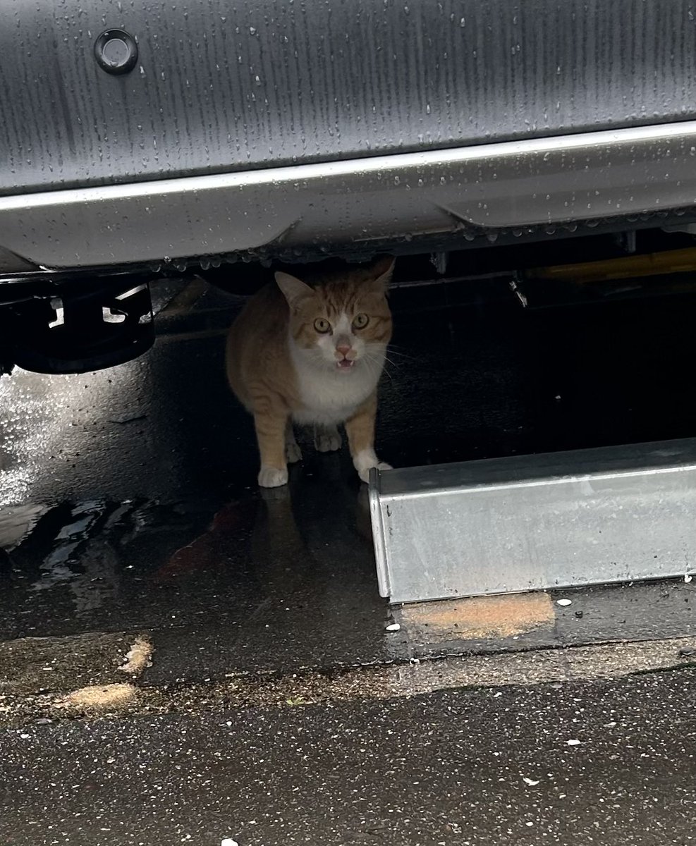 山電話 tweet media