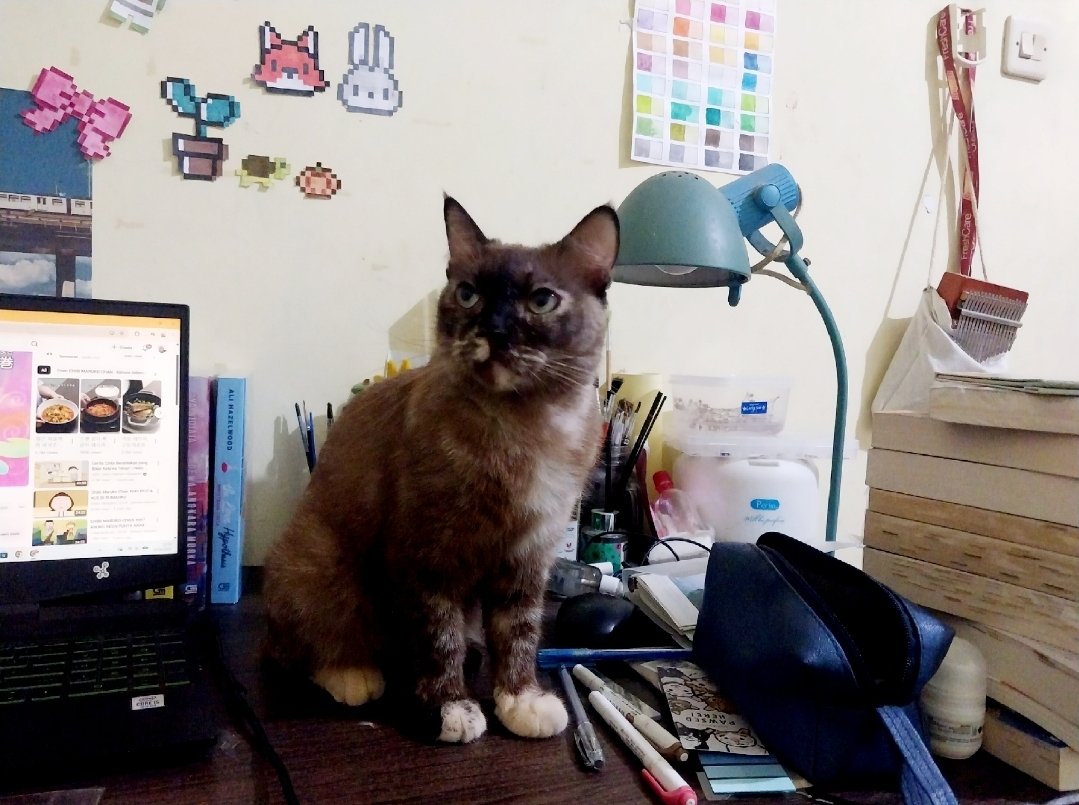 𝓼𝓪𝓷~ ִֶָ𖥔 ݁ ˖🪐.𖥔 ݁ ˖ tweet media