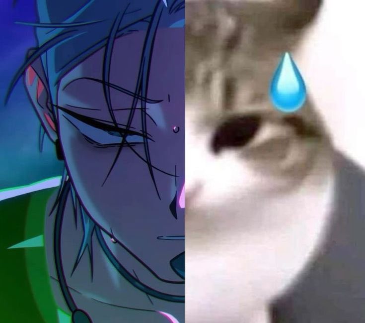 Zorua Chispitas tweet media