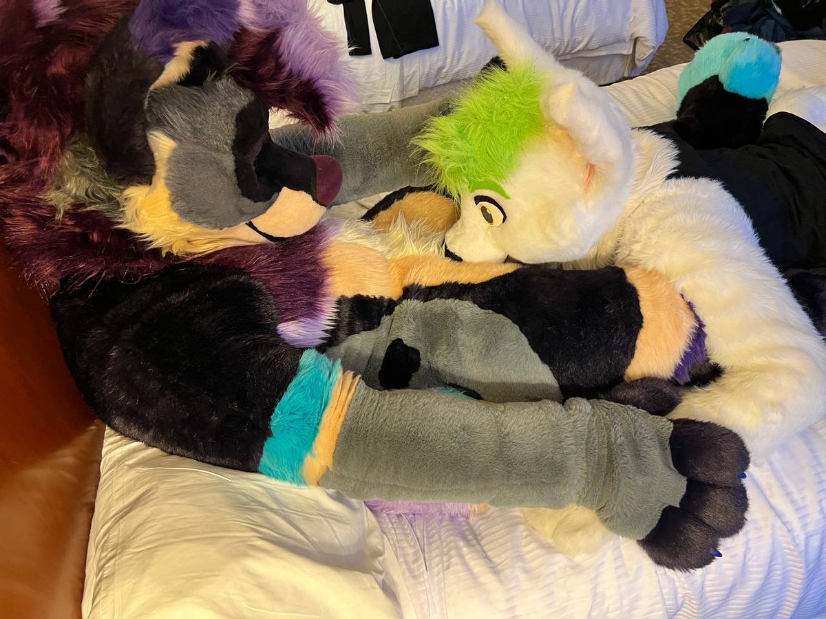 Kev Shepherd🔜AC tweet media