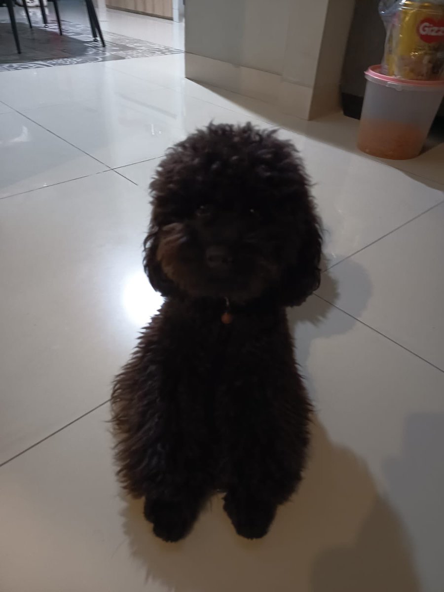 lori, ً𐙚 tweet media