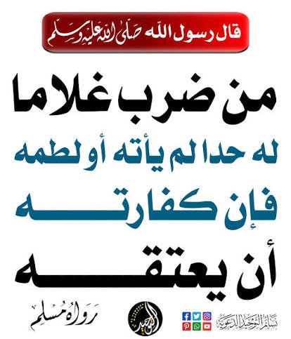 hanoras🔻 tweet media