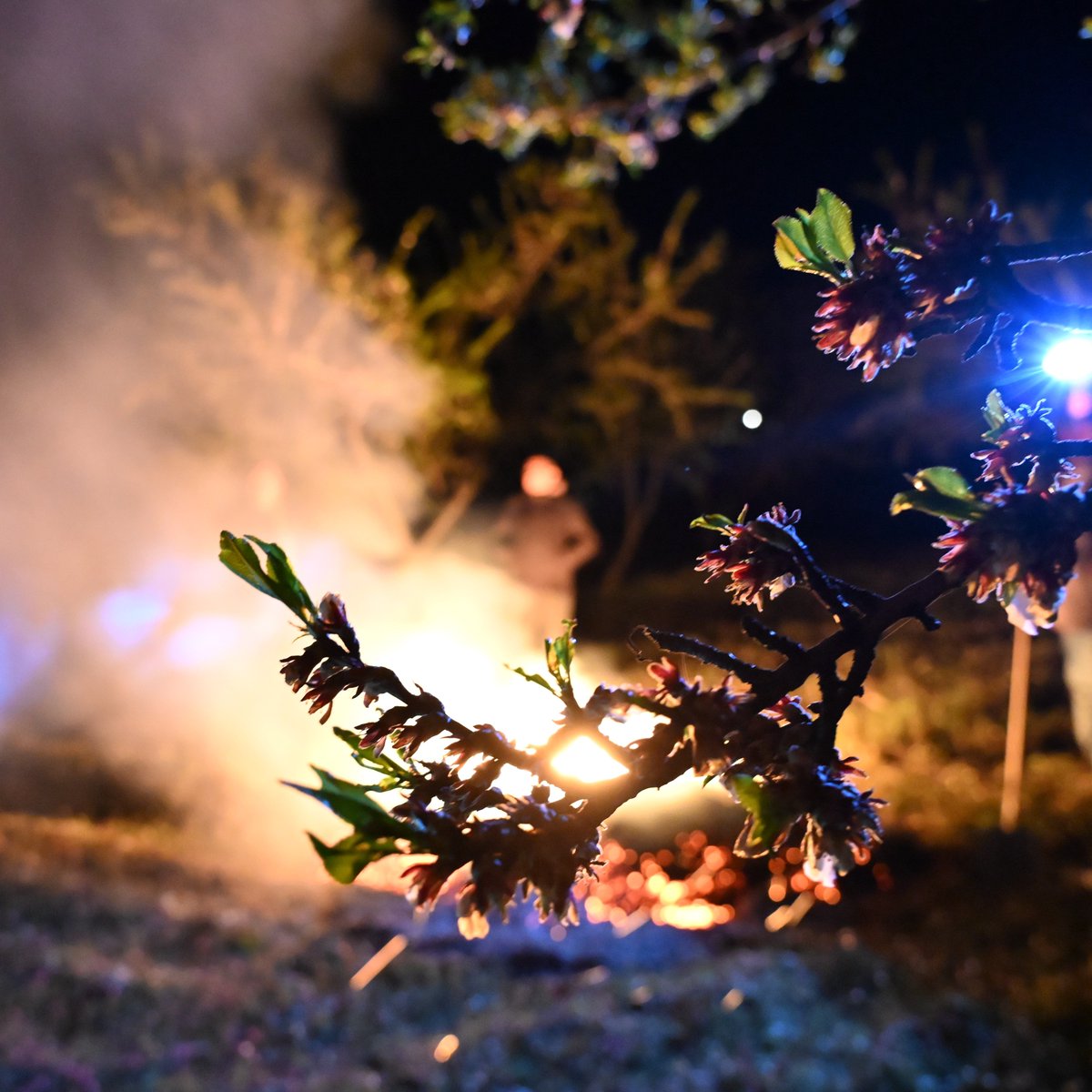 Pusholder tweet media