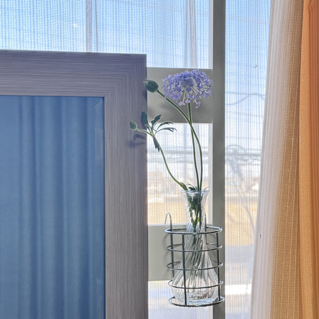 インテリア仏壇「鏡壇ミラリエ」「鏡壇ミロワ」に今日（4/10）の誕生花の「ブルーレースフラワー（ディディスカス／空色レース草）」 を飾ってみました。
#ブルーレースフラワー
#ディディスカス
#空色レース草
#ミラリエ
#ミロワ
#グレイスプレイス
#仏壇
#SGI仏壇
#創価学会仏壇
#壁掛仏壇