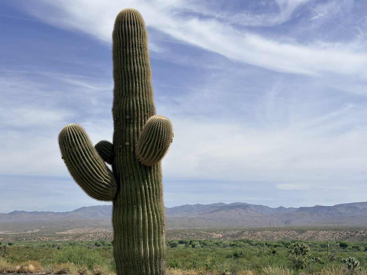 Alejandro Zúñiga tweet media