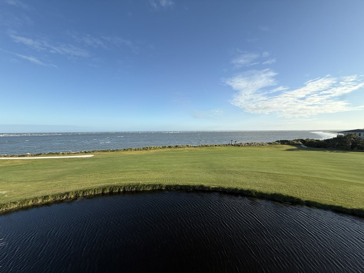 SnakeWisdomX tweet media