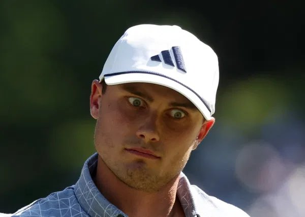 Dave Ross tweet media