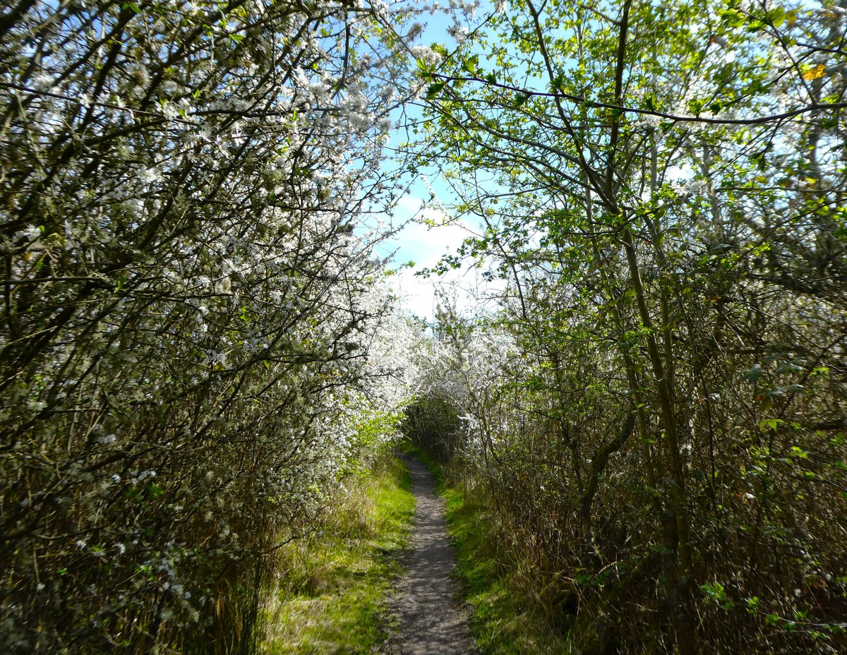 Beatrice Groves tweet media