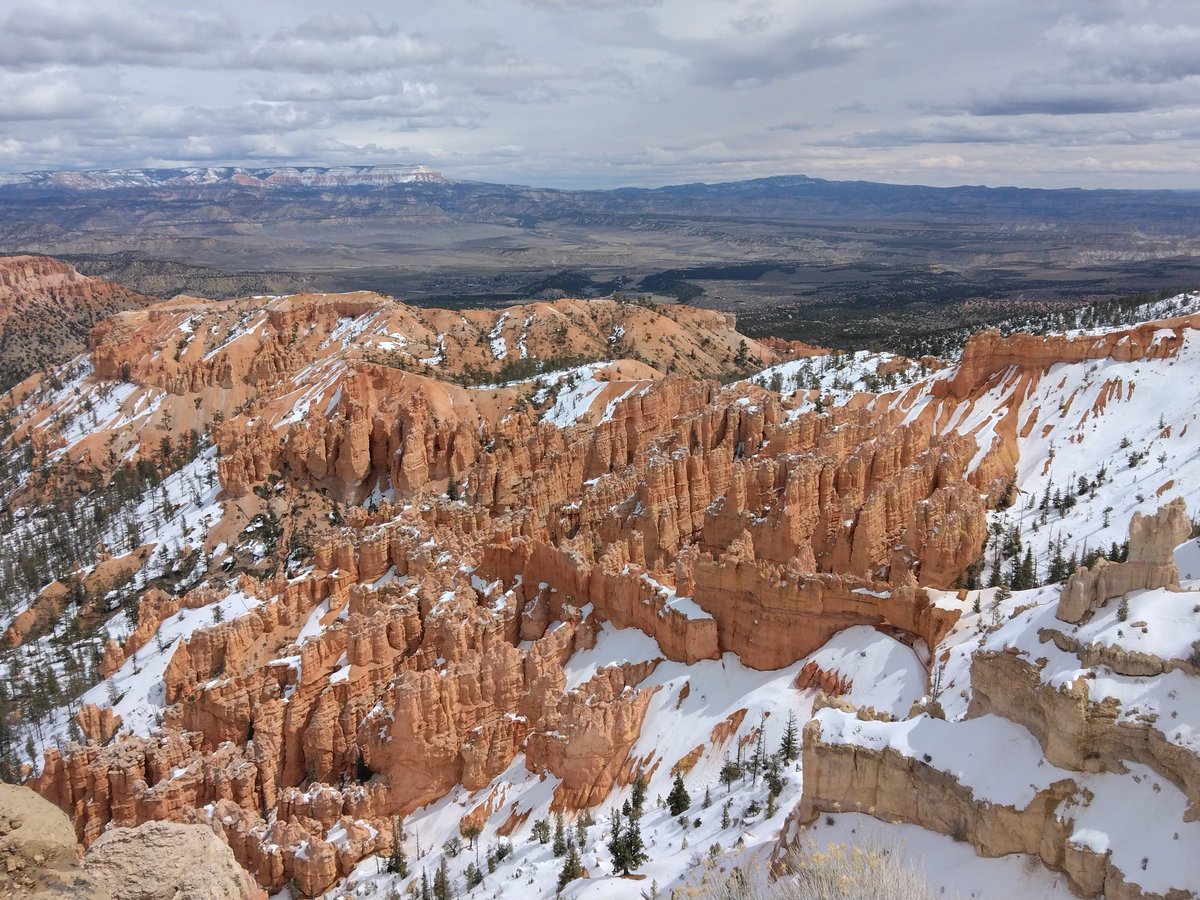 しかまろ@謎解き出題中 tweet media