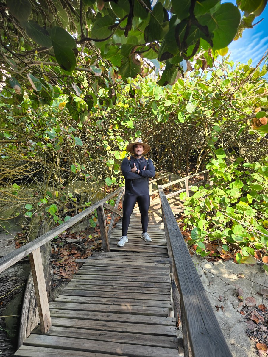 Puerco Potter 🌇🐖🐷 tweet media