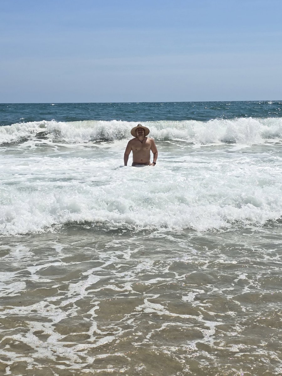 Puerco Potter 🌇🐖🐷 tweet media