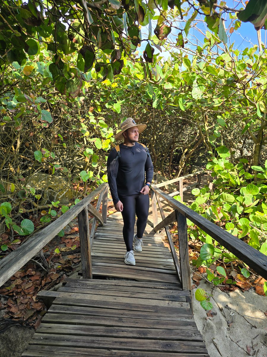 Puerco Potter 🌇🐖🐷 tweet media