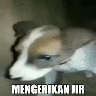 konu beli pulsa tweet media