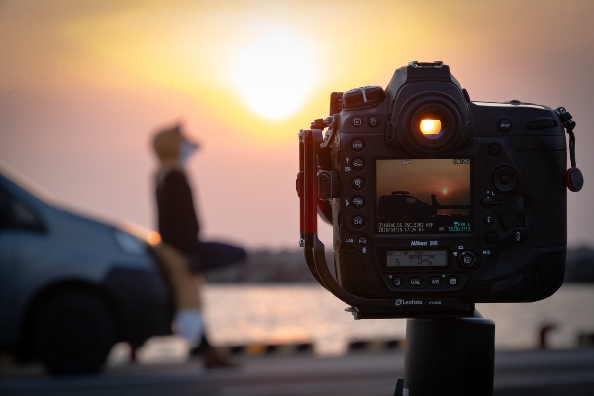 しゃとる🦃🦊 tweet media