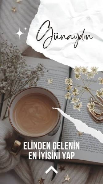 Recep Çelik tweet media