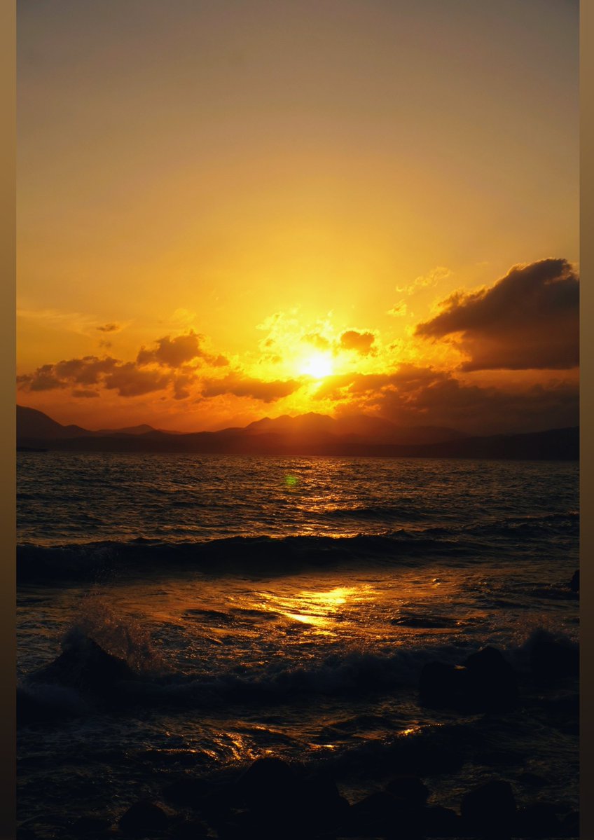 hanamaru tweet media