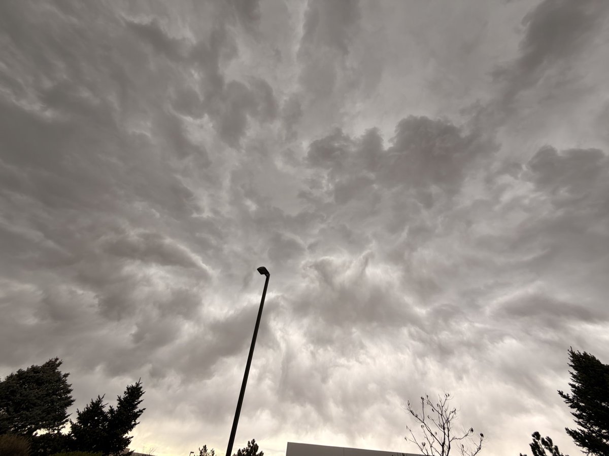 Jenny Rhythm tweet media