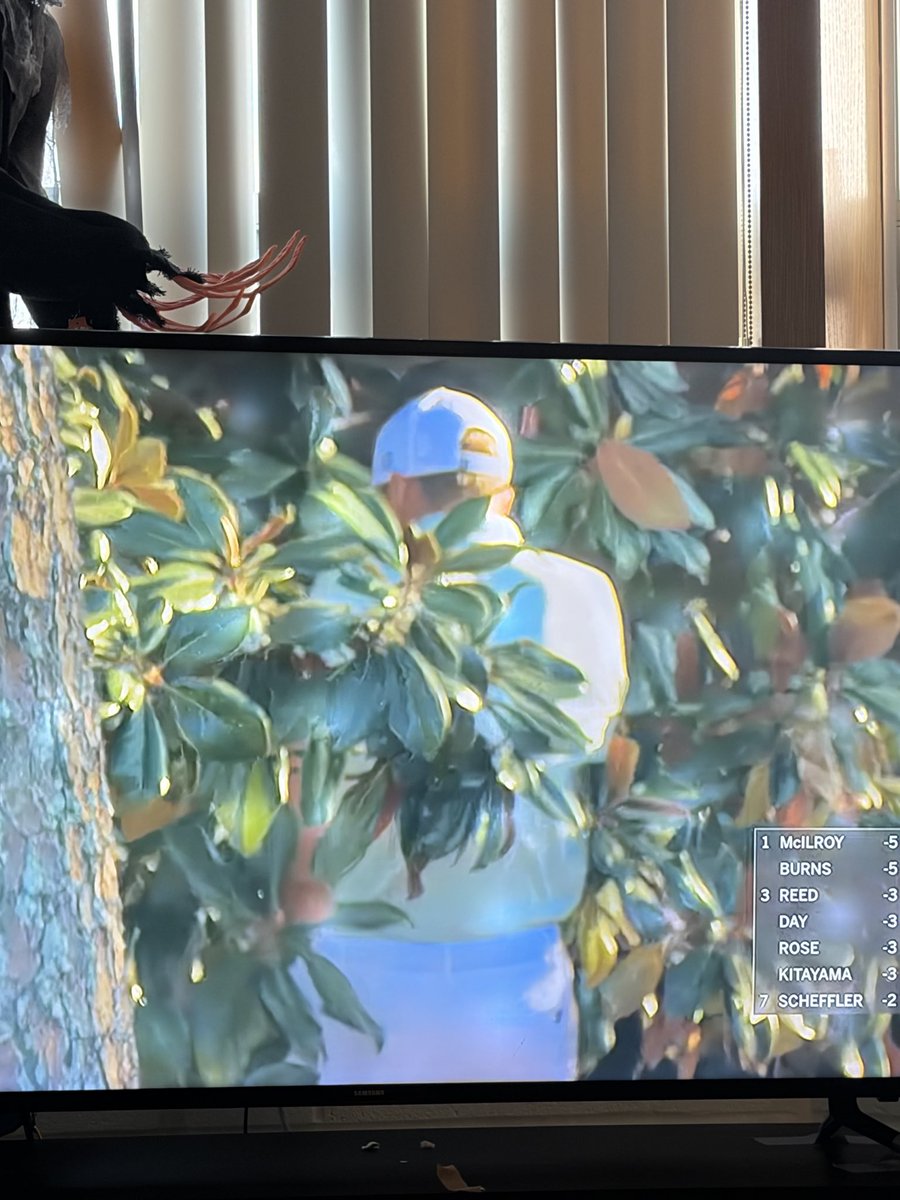 Binky “The Binkster” Stevens tweet media