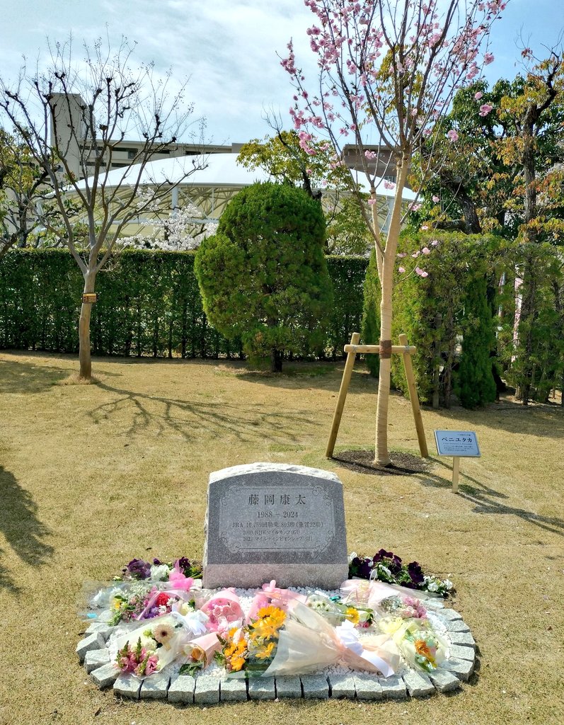 Stay Dream tweet media