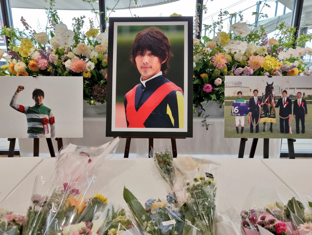 Stay Dream tweet media