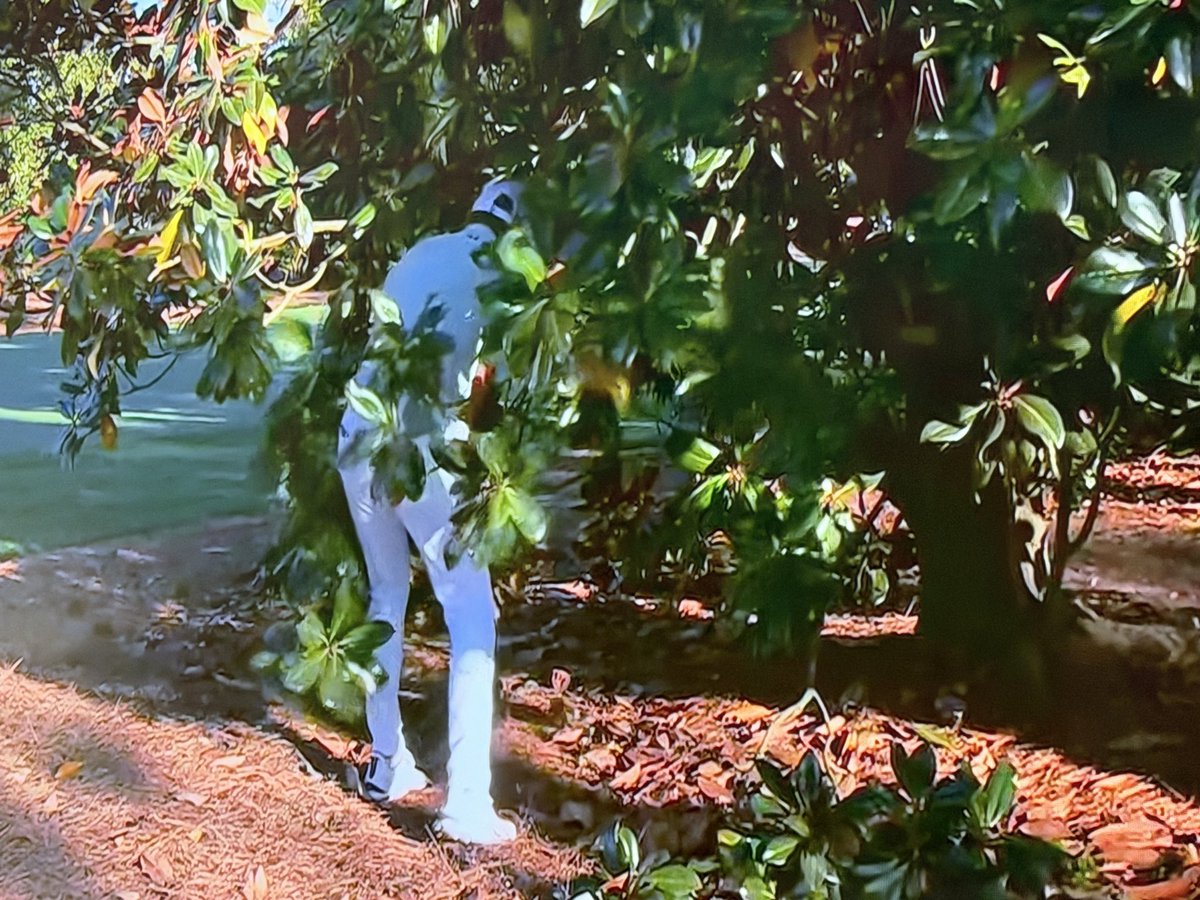 Jason Sobel tweet media