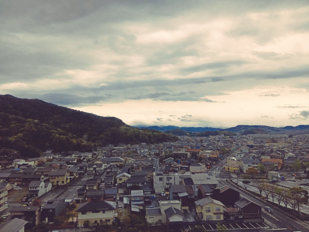 やん坊🎸🐱🦋🍛🍓🧜‍♀🐉🚃6️⃣👑 tweet media