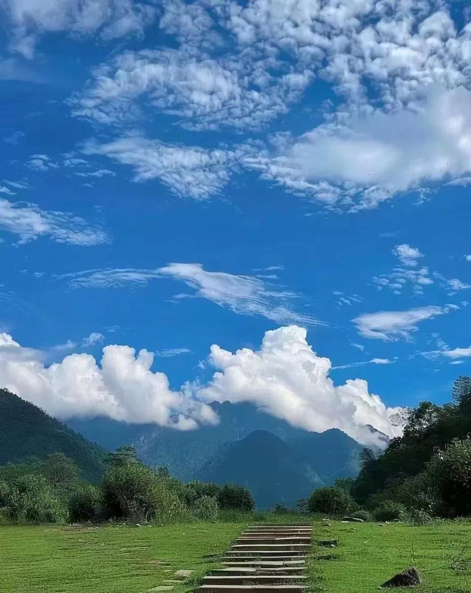 Evgeny Volkov tweet media