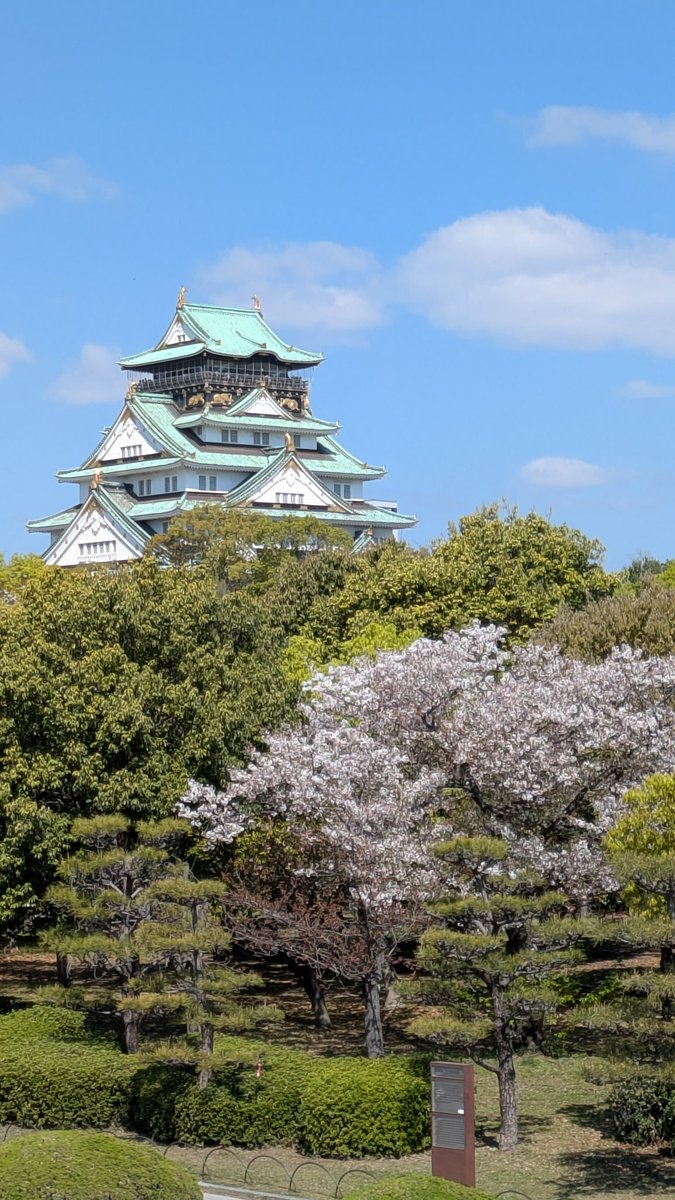 Goodchance72's tweet photo. 一昨日の #大阪城 は、多くの海外からの観光客が #桜 の写真を撮っていました
今週は #花散らしの雨 となりそうなので、今年の桜は見納めになるでしょうか https://t.co/pd9FBGTGhu