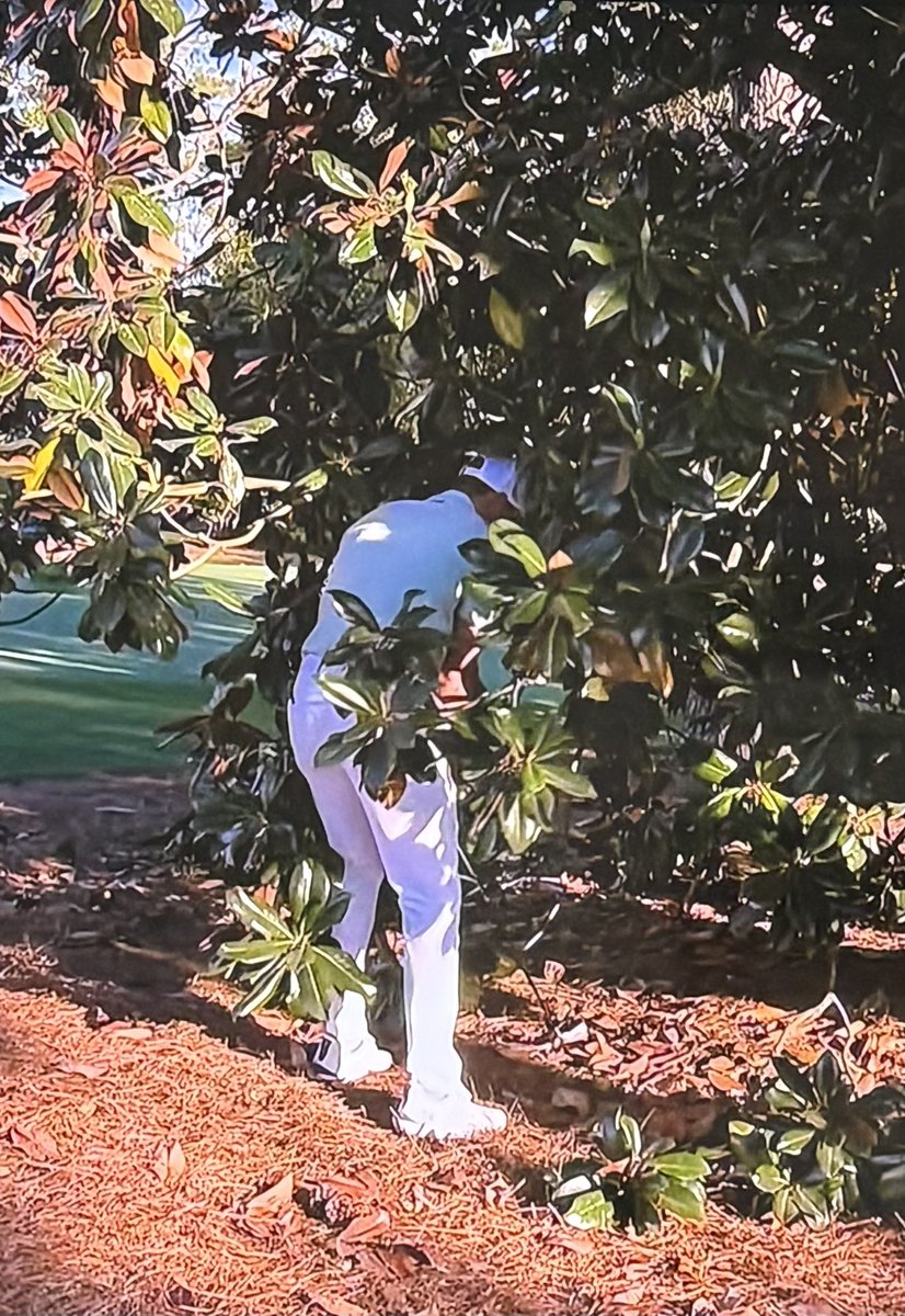 thefakecrenshaw's tweet photo. Wonder how my favorite golfers round is going- https://t.co/3AjR9to6QV