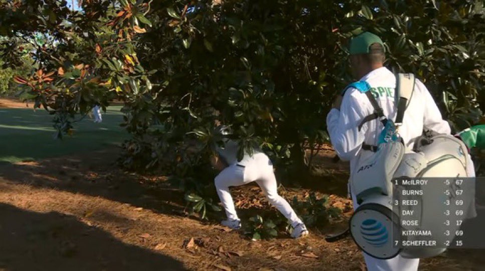 Patton Orr tweet media