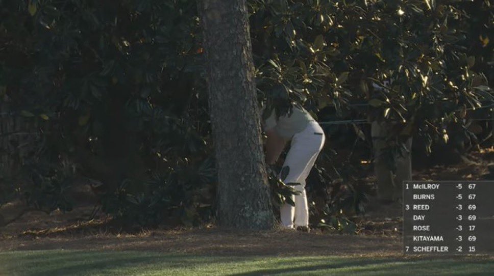 Patton Orr tweet media