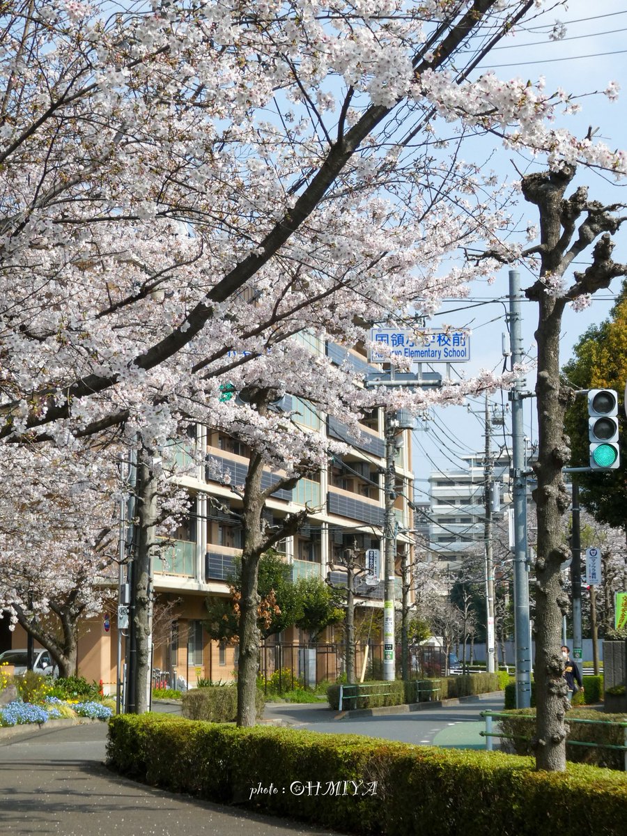 大宮さざえsun☪︎優しい言葉をありがとう☪︎ tweet media