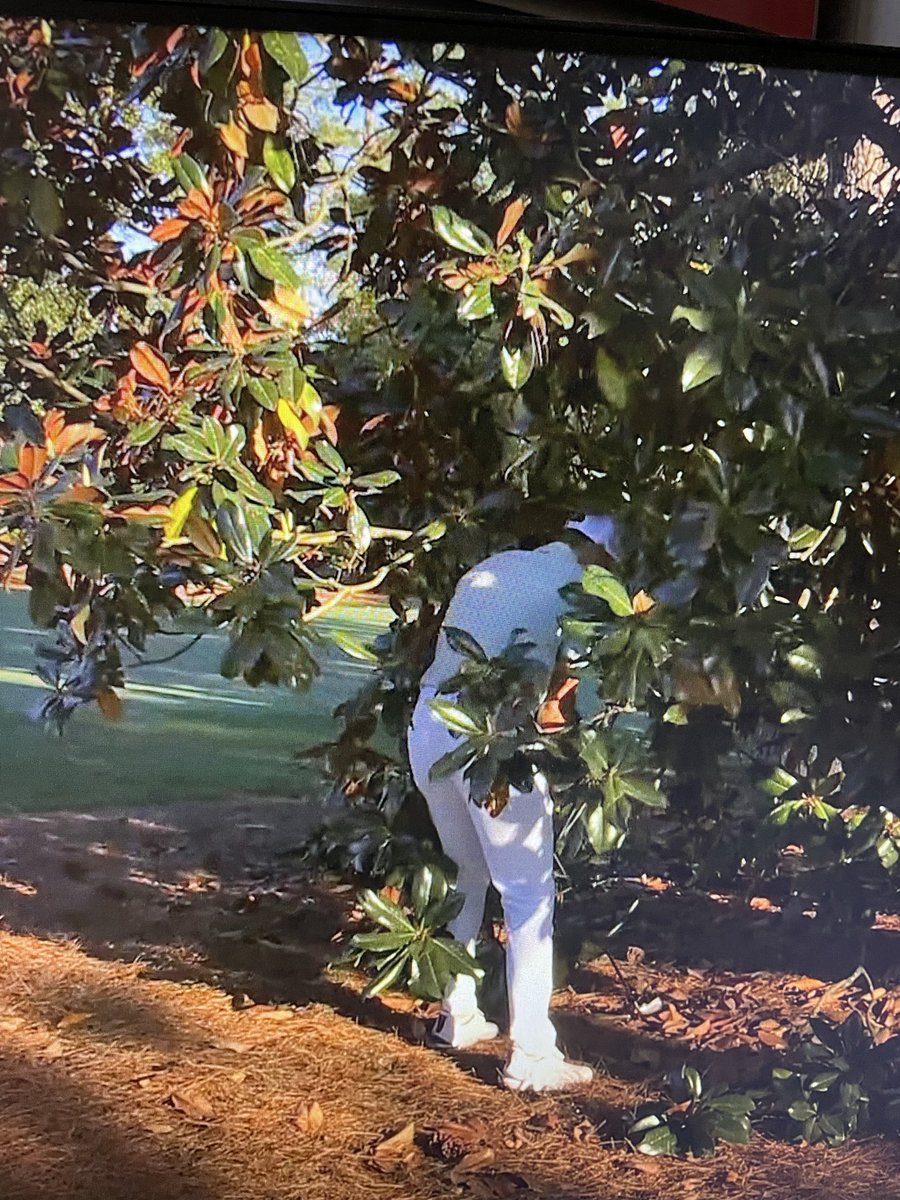 Levi Stode tweet media