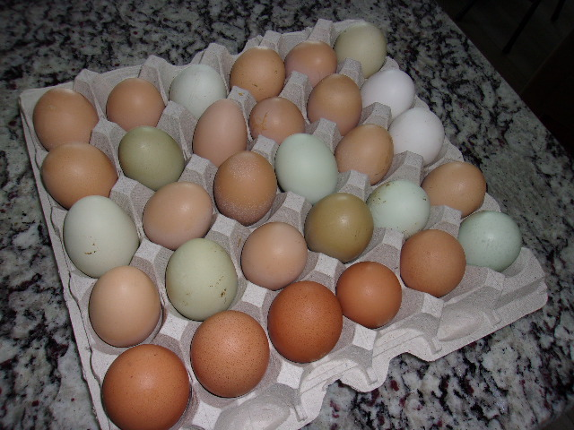 Gerry Rzeppa tweet media