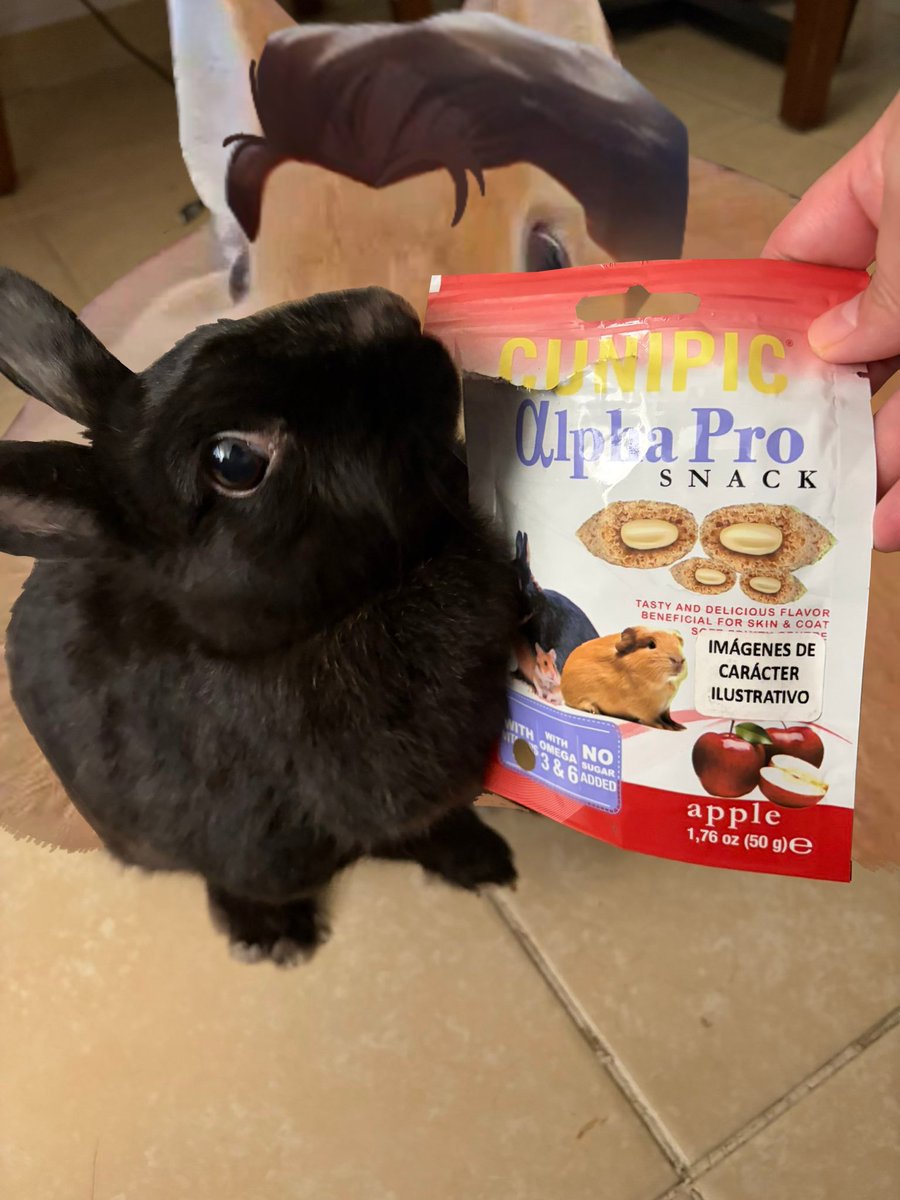 jaybunny tweet media