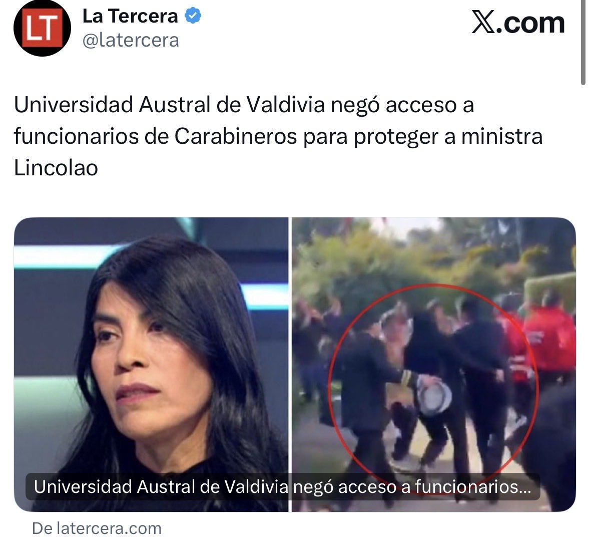 Seba Muñoz tweet media